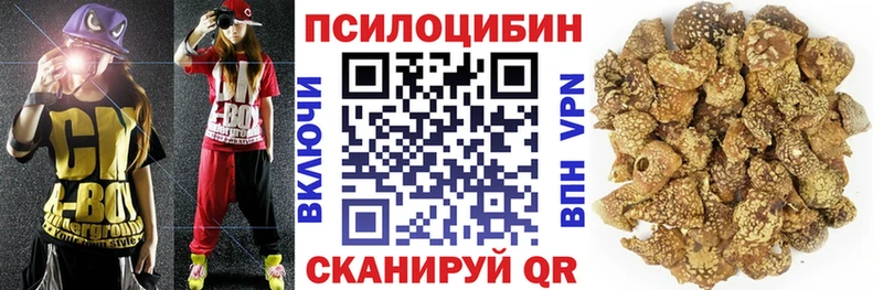 KRAKEN ССЫЛКА  Кораблино  Галлюциногенные грибы GOLDEN TEACHER 